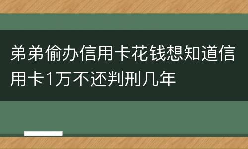 弟弟偷办信用卡花钱想知道信用卡1万不还判刑几年