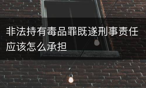 非法持有毒品罪既遂刑事责任应该怎么承担