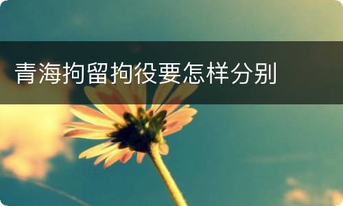 青海拘留拘役要怎样分别