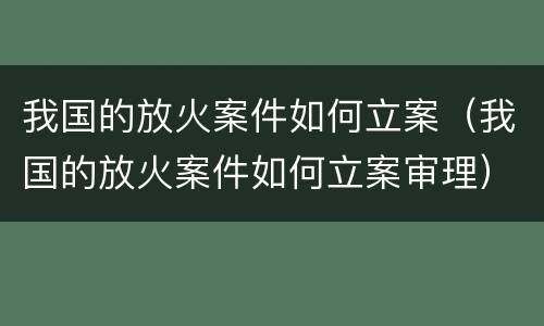 我国的放火案件如何立案（我国的放火案件如何立案审理）