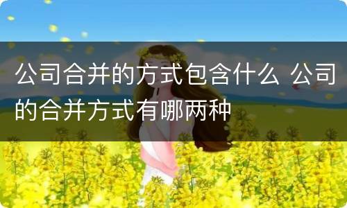 公司合并的方式包含什么 公司的合并方式有哪两种