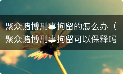 聚众赌博刑事拘留的怎么办（聚众赌博刑事拘留可以保释吗）