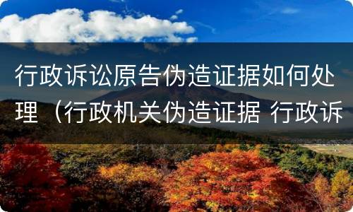 行政诉讼原告伪造证据如何处理（行政机关伪造证据 行政诉讼）