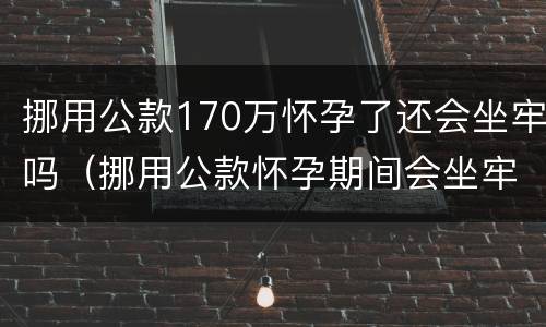 挪用公款170万怀孕了还会坐牢吗（挪用公款怀孕期间会坐牢吗）