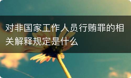 对非国家工作人员行贿罪的相关解释规定是什么