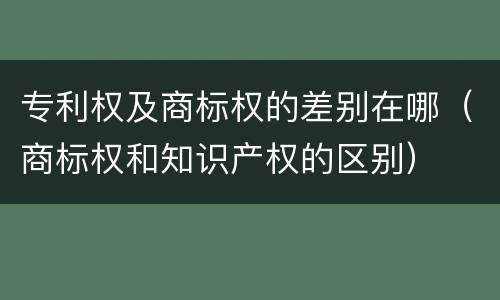 专利权及商标权的差别在哪（商标权和知识产权的区别）