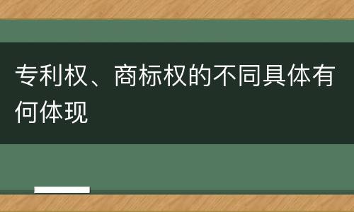 专利权、商标权的不同具体有何体现