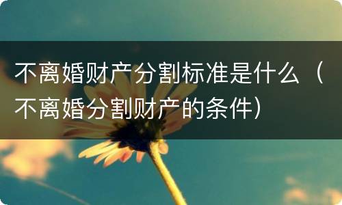 不离婚财产分割标准是什么（不离婚分割财产的条件）