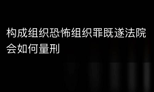 构成组织恐怖组织罪既遂法院会如何量刑