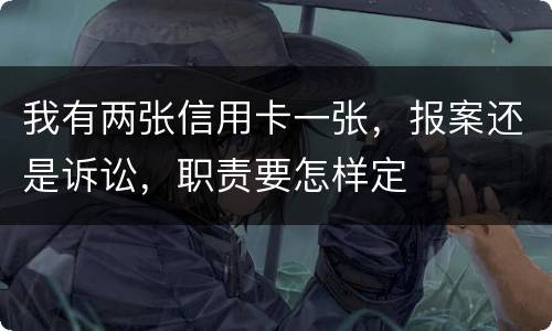 我有两张信用卡一张，报案还是诉讼，职责要怎样定