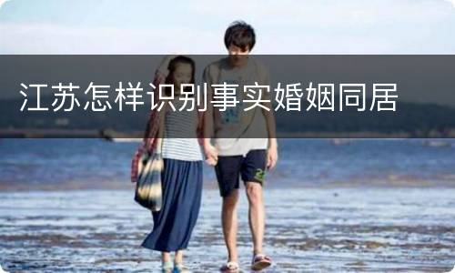 江苏怎样识别事实婚姻同居