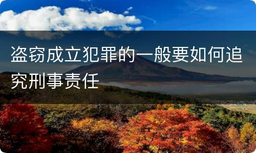 盗窃成立犯罪的一般要如何追究刑事责任