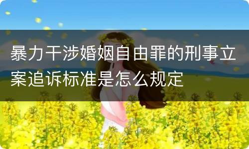 暴力干涉婚姻自由罪的刑事立案追诉标准是怎么规定