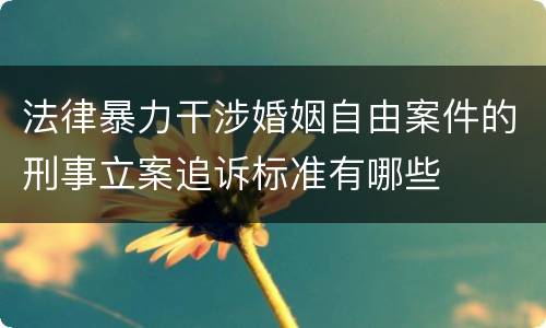 法律暴力干涉婚姻自由案件的刑事立案追诉标准有哪些