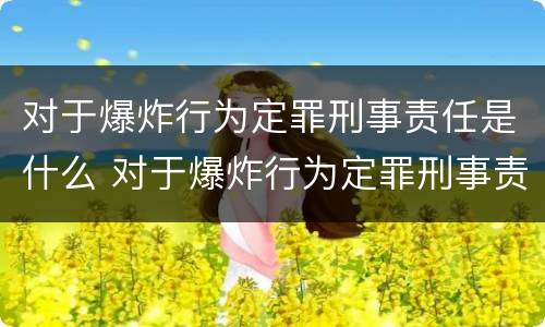 对于爆炸行为定罪刑事责任是什么 对于爆炸行为定罪刑事责任是什么意思