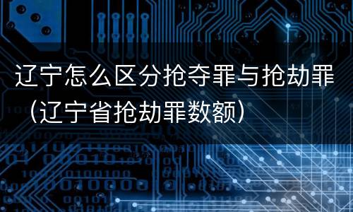 辽宁怎么区分抢夺罪与抢劫罪（辽宁省抢劫罪数额）