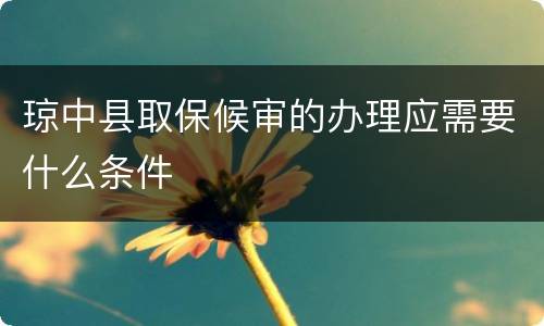 琼中县取保候审的办理应需要什么条件