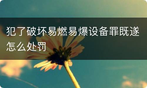 犯了破坏易燃易爆设备罪既遂怎么处罚