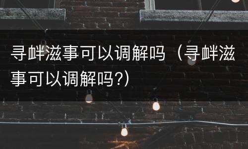 寻衅滋事可以调解吗（寻衅滋事可以调解吗?）