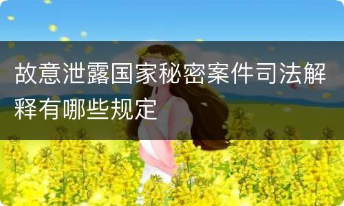故意泄露国家秘密案件司法解释有哪些规定