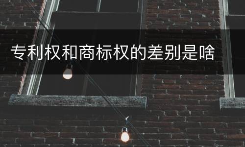 专利权和商标权的差别是啥