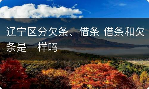辽宁区分欠条、借条 借条和欠条是一样吗
