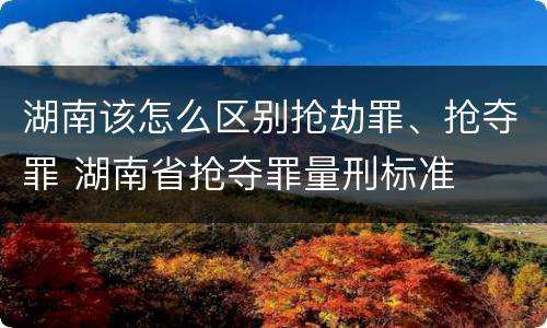 湖南该怎么区别抢劫罪、抢夺罪 湖南省抢夺罪量刑标准