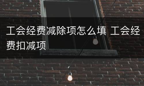 工会经费减除项怎么填 工会经费扣减项