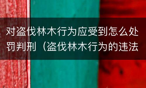对盗伐林木行为应受到怎么处罚判刑（盗伐林木行为的违法依据）