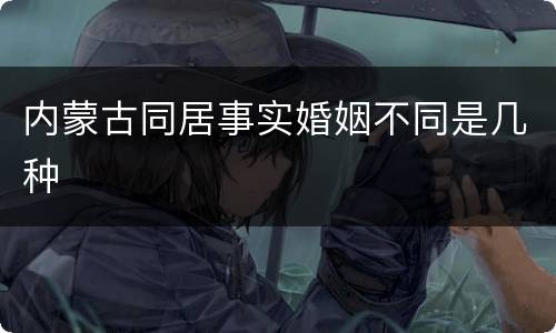内蒙古同居事实婚姻不同是几种