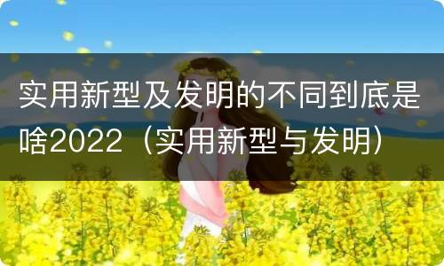实用新型及发明的不同到底是啥2022（实用新型与发明）