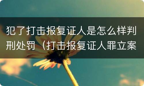 犯了打击报复证人是怎么样判刑处罚（打击报复证人罪立案标准）