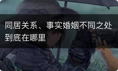 同居关系、事实婚姻不同之处到底在哪里