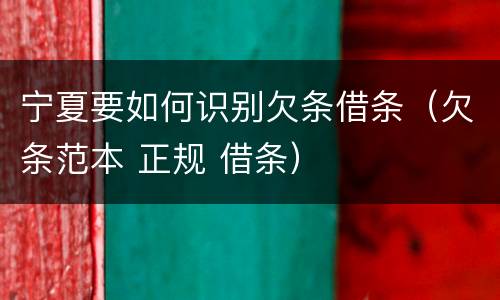 宁夏要如何识别欠条借条（欠条范本 正规 借条）
