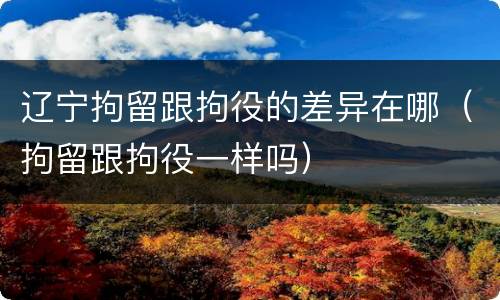 辽宁拘留跟拘役的差异在哪（拘留跟拘役一样吗）