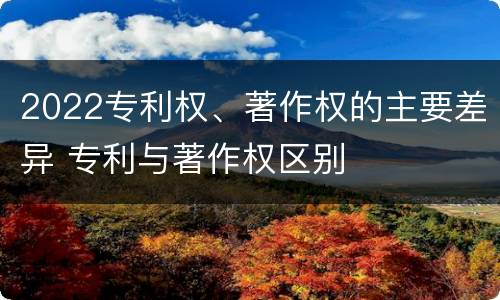 2022专利权、著作权的主要差异 专利与著作权区别