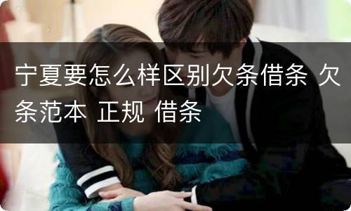 宁夏要怎么样区别欠条借条 欠条范本 正规 借条