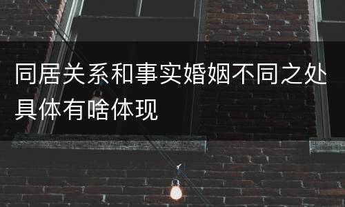 同居关系和事实婚姻不同之处具体有啥体现