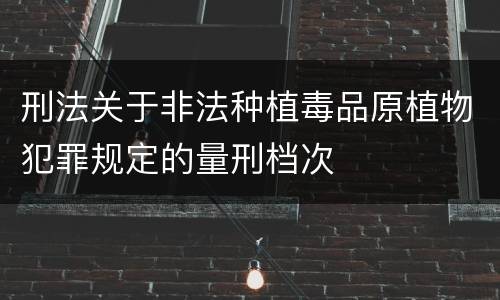 刑法关于非法种植毒品原植物犯罪规定的量刑档次