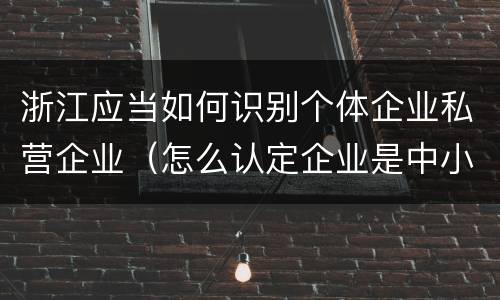 浙江应当如何识别个体企业私营企业（怎么认定企业是中小企业）