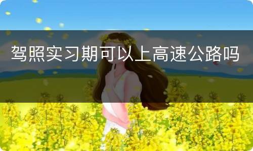 驾照实习期可以上高速公路吗