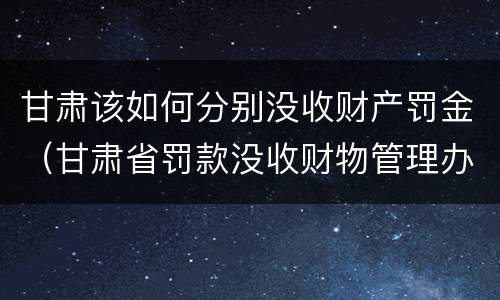甘肃该如何分别没收财产罚金（甘肃省罚款没收财物管理办法）