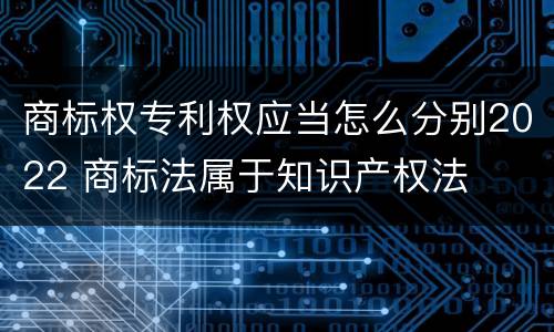 商标权专利权应当怎么分别2022 商标法属于知识产权法