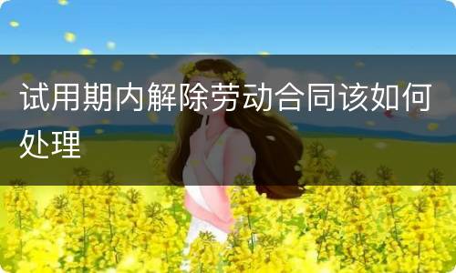 试用期内解除劳动合同该如何处理