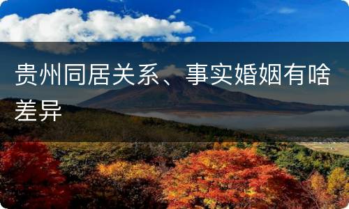 贵州同居关系、事实婚姻有啥差异