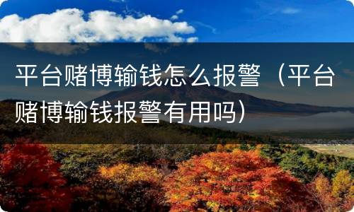 平台赌博输钱怎么报警（平台赌博输钱报警有用吗）