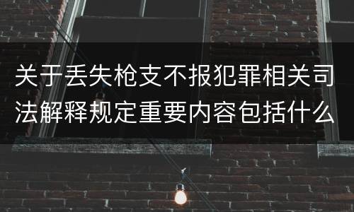 关于丢失枪支不报犯罪相关司法解释规定重要内容包括什么