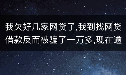 我欠好几家网贷了,我到找网贷借款反而被骗了一万多,现在逾期了好几家了,我给怎么办