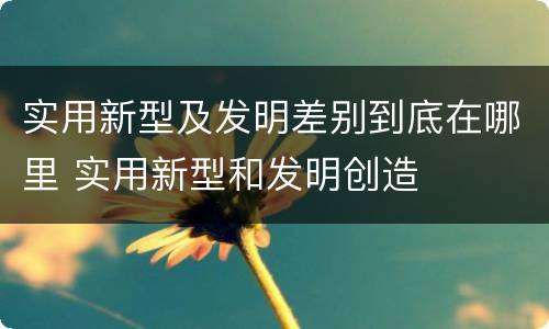实用新型及发明差别到底在哪里 实用新型和发明创造