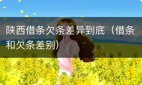陕西借条欠条差异到底（借条和欠条差别）